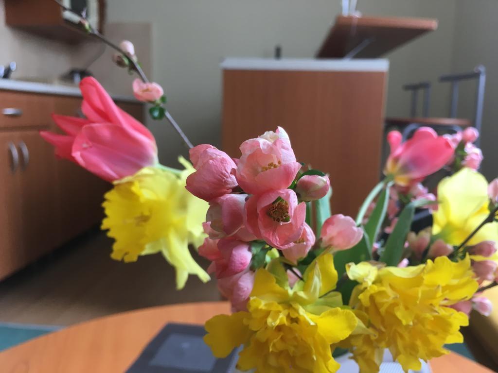 Apartmán Darmon Pöstyén Kültér fotó